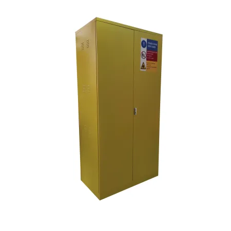 Armadio per Solventi ed Infiammabili con Ripiani a Vasche 100x55x200 cm in Lamiera Verniciata
