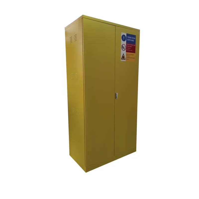 Armadio per Solventi ed Infiammabili con Ripiani a Vasche 100x55x200 cm in Lamiera Verniciata
