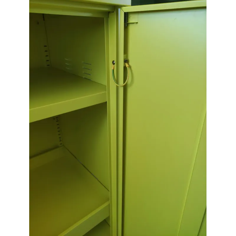 Armadio per Solventi ed Infiammabili con Ripiani a Vasche 54x55x100 cm in Lamiera Verniciata