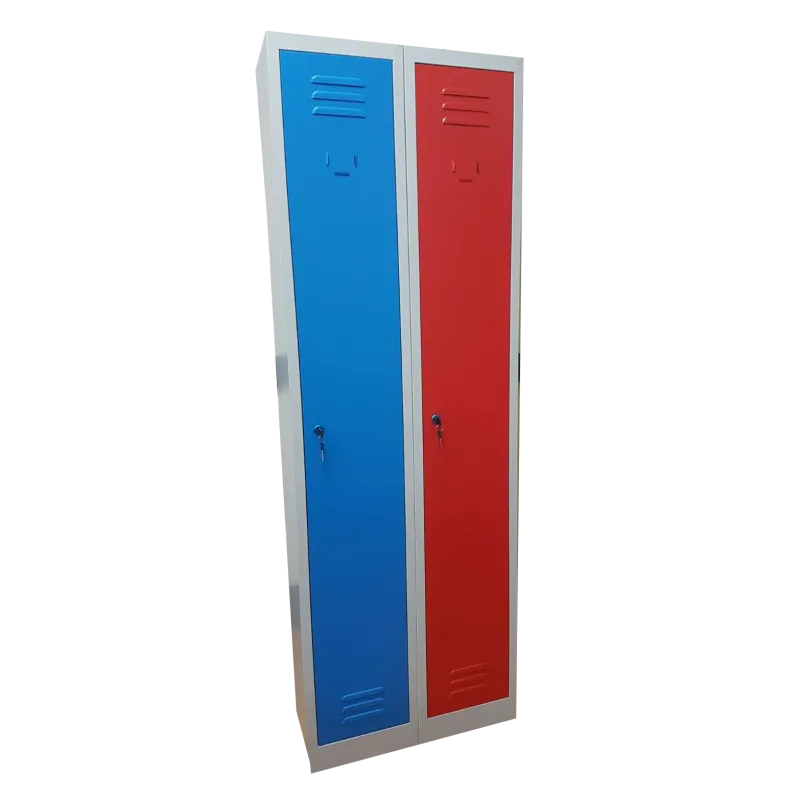 Armadio spogliatoio in metallo, a 2 posti salva spazio con ante colorate cm 60x30x180h